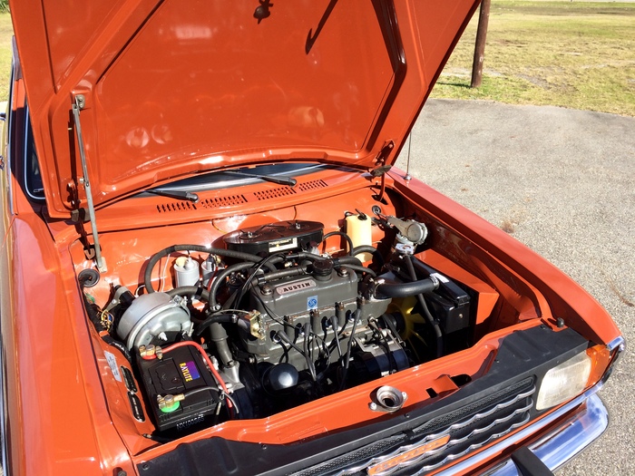 ec4246a6-2ab1-11ed-911f-525400a0165e